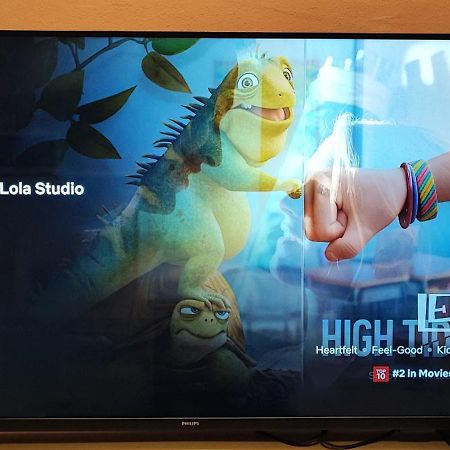 Lola Studio Apartman Hajdúszoboszló Dış mekan fotoğraf